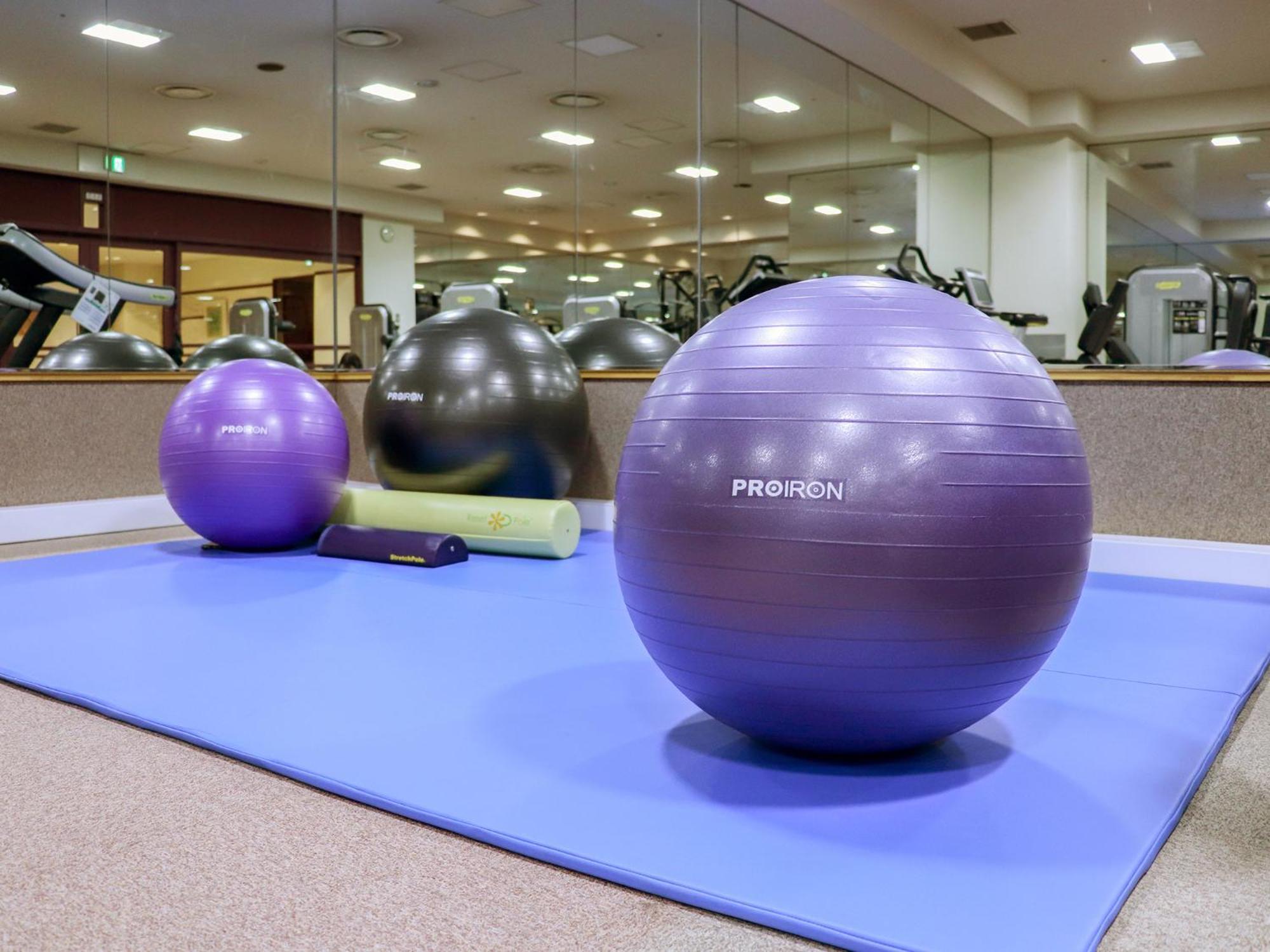 Premier Hotel -Tsubaki- Sapporo Buitenkant foto Swiss exercise ball